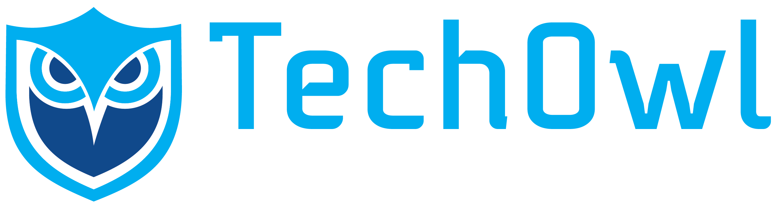 CloudShield